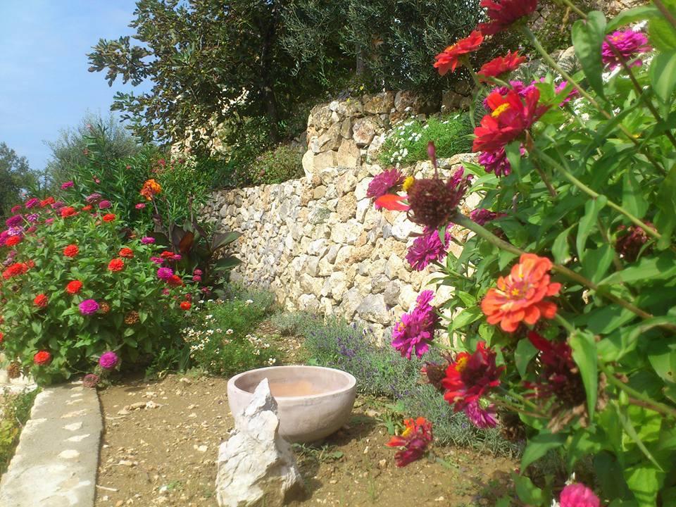Villa Mora Banjol Exterior foto